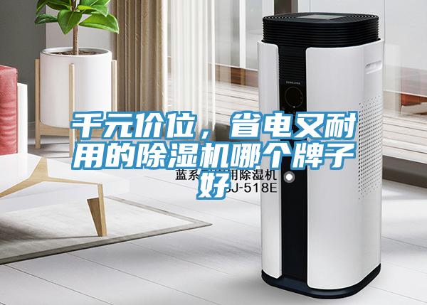 千元價(jià)位，省電又耐用的除濕機(jī)哪個(gè)牌子好