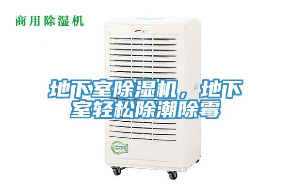 地下室除濕機(jī)，地下室輕松除潮除霉
