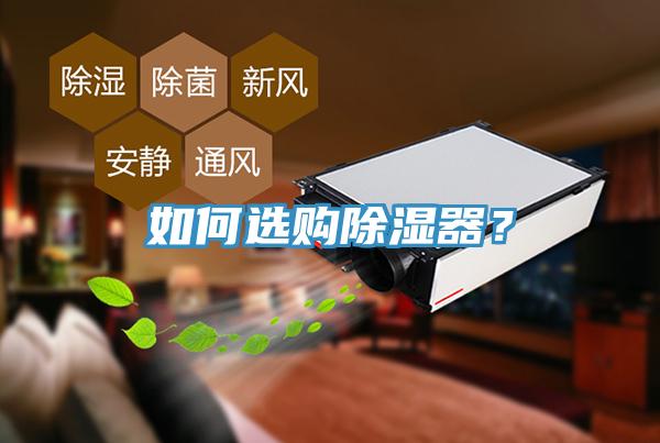 如何選購除濕器？