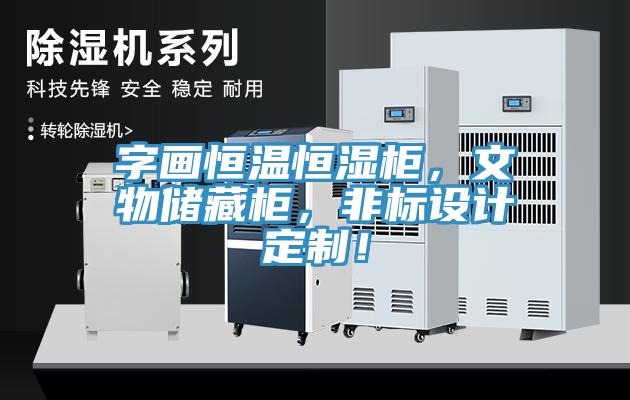 字畫恒溫恒濕柜，文物儲(chǔ)藏柜，非標(biāo)設(shè)計(jì)定制！