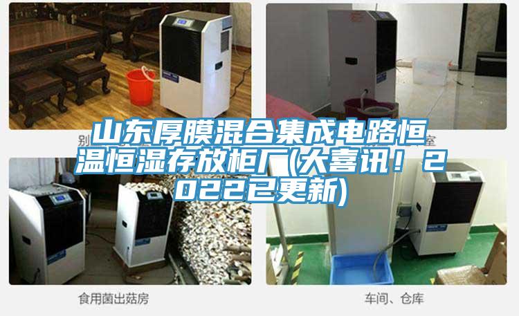 山東厚膜混合集成電路恒溫恒濕存放柜廠(大喜訊！2022已更新)