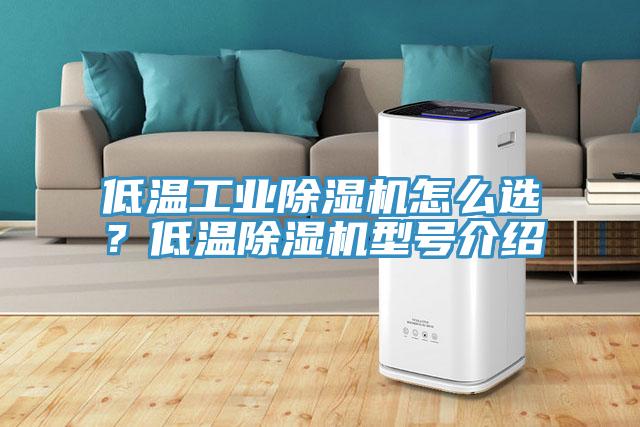 低溫工業(yè)除濕機(jī)怎么選？低溫除濕機(jī)型號介紹