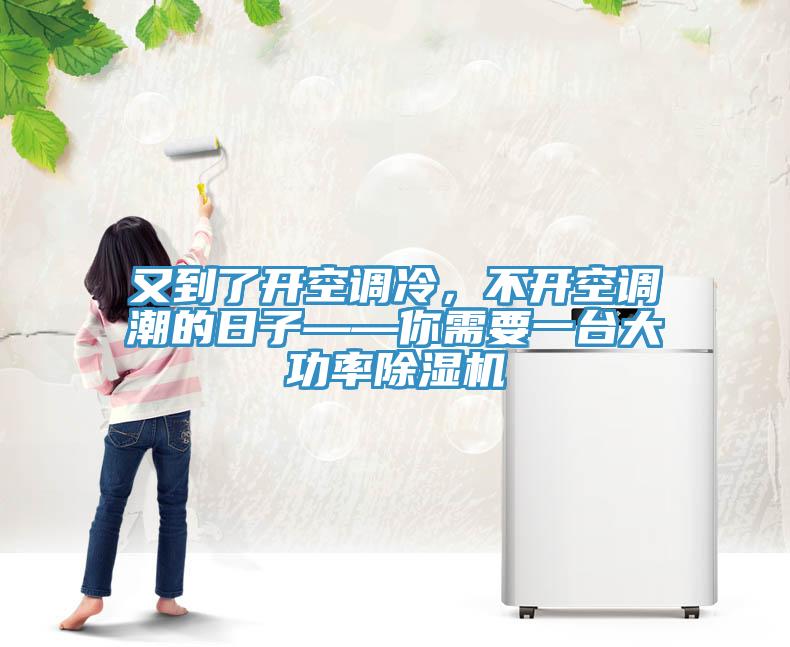 又到了開空調(diào)冷，不開空調(diào)潮的日子——你需要一臺大功率除濕機