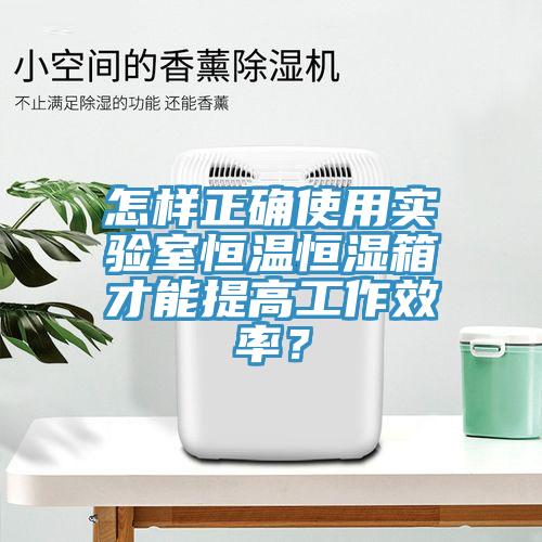 怎樣正確使用實(shí)驗(yàn)室恒溫恒濕箱才能提高工作效率？