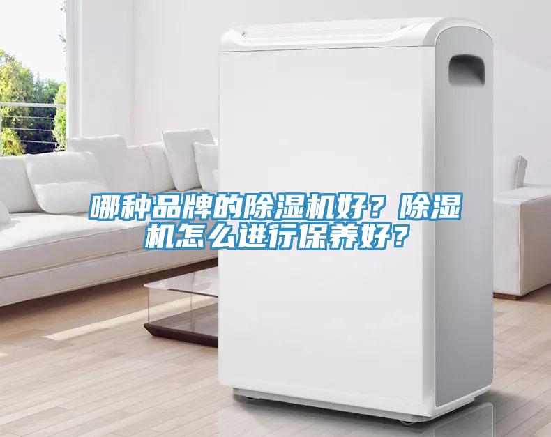 哪種品牌的除濕機(jī)好？除濕機(jī)怎么進(jìn)行保養(yǎng)好？