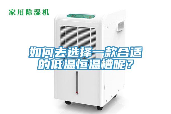 如何去選擇一款合適的低溫恒溫槽呢？