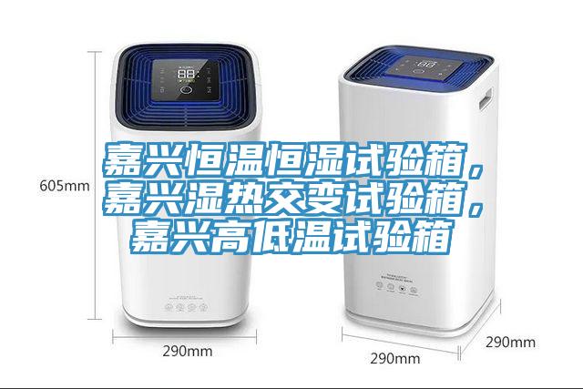 嘉興恒溫恒濕試驗(yàn)箱，嘉興濕熱交變?cè)囼?yàn)箱，嘉興高低溫試驗(yàn)箱