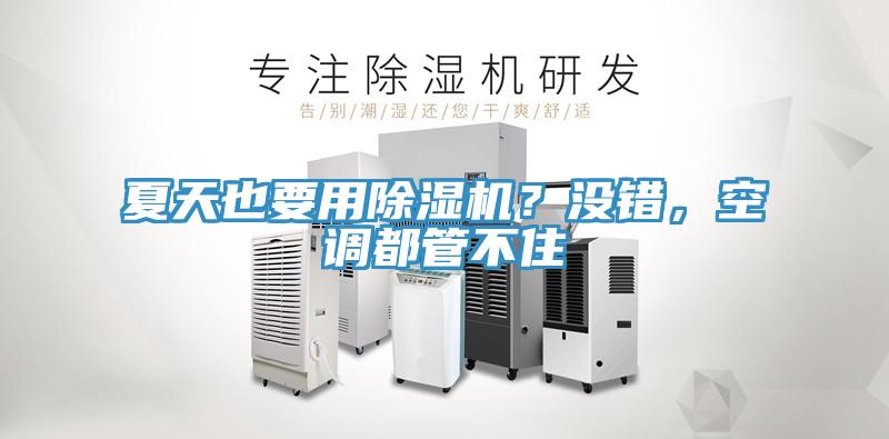 夏天也要用除濕機(jī)？沒錯，空調(diào)都管不住