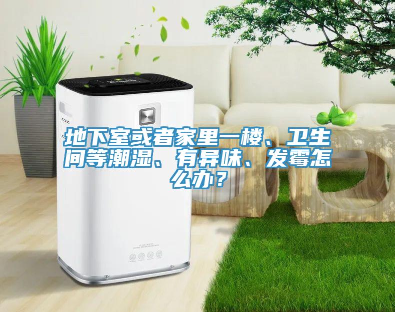地下室或者家里一樓、衛(wèi)生間等潮濕、有異味、發(fā)霉怎么辦？