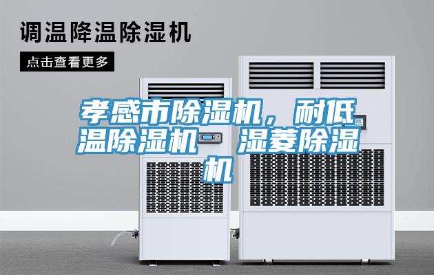 孝感市除濕機(jī)，耐低溫除濕機(jī)  濕菱除濕機(jī)
