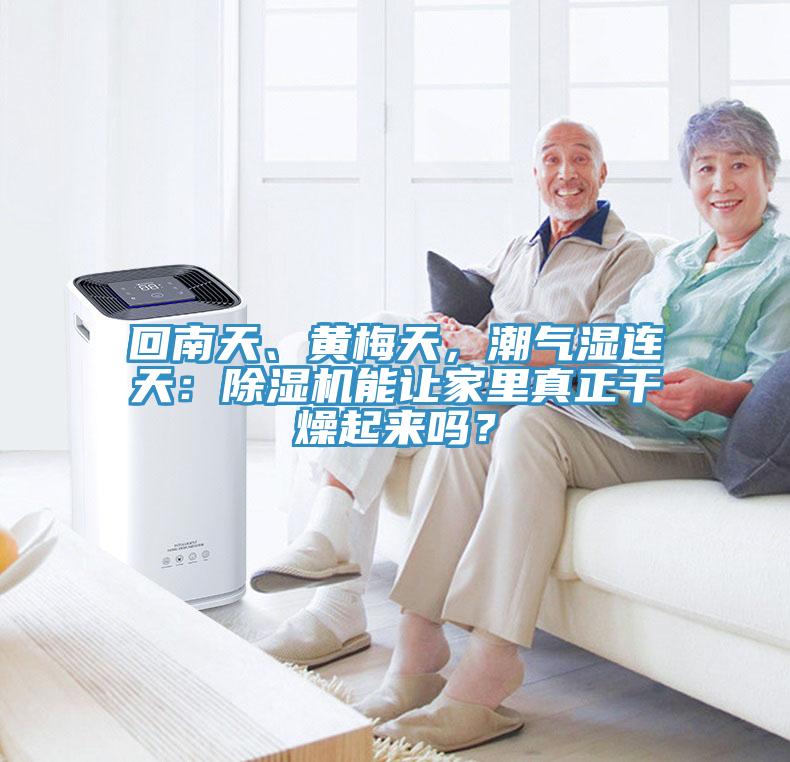 回南天、黃梅天，潮氣濕連天：除濕機(jī)能讓家里真正干燥起來嗎？