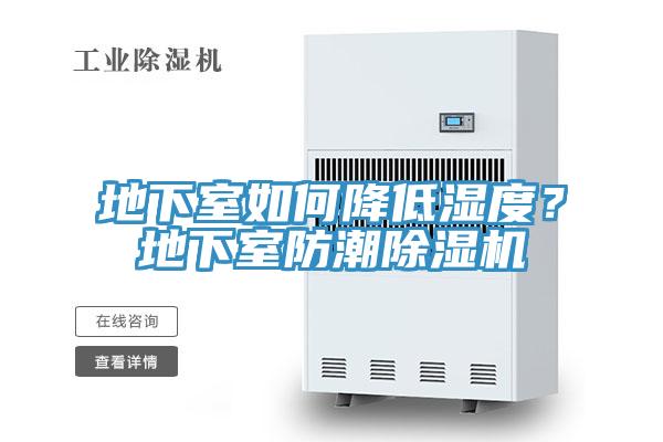 地下室如何降低濕度？地下室防潮除濕機