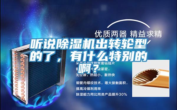 聽說除濕機(jī)出轉(zhuǎn)輪型的了，有什么特別的啊？