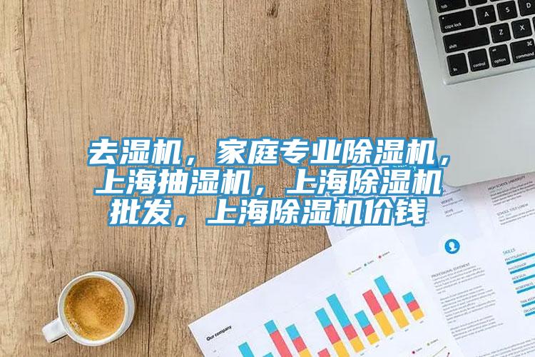 去濕機，家庭專業(yè)除濕機，上海抽濕機，上海除濕機批發(fā)，上海除濕機價錢