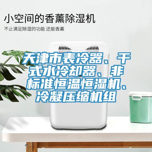 天津市表冷器、干式水冷卻器、非標(biāo)準(zhǔn)恒溫恒濕機、冷凝壓縮機組