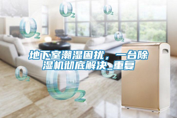地下室潮濕困擾，一臺除濕機徹底解決_重復
