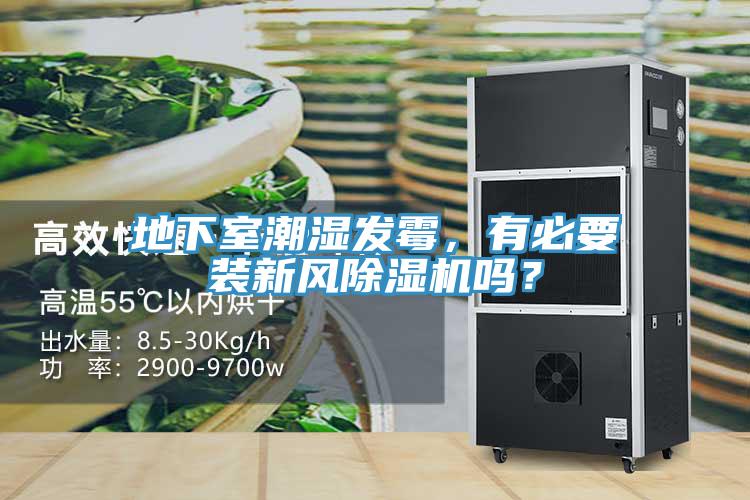 地下室潮濕發(fā)霉，有必要裝新風(fēng)除濕機嗎？