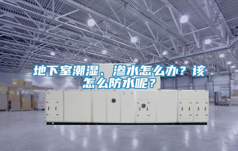 地下室潮濕、滲水怎么辦？該怎么防水呢？