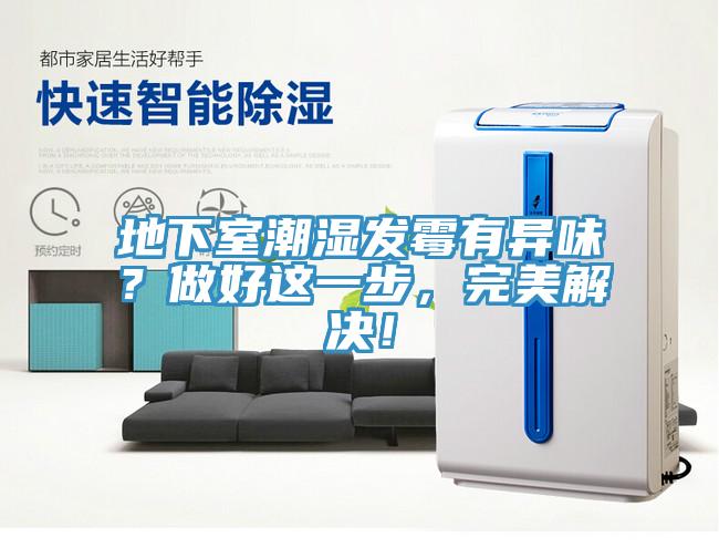 地下室潮濕發(fā)霉有異味？做好這一步，完美解決！