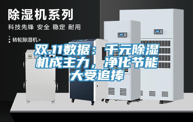 雙.11數(shù)據(jù)：千元除濕機成主力，凈化節(jié)能大受追捧