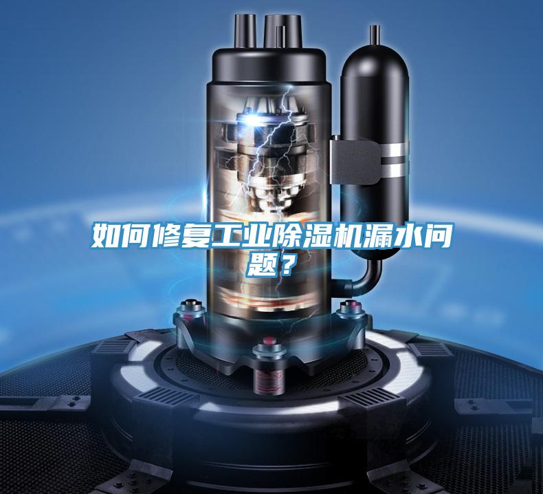 如何修復(fù)工業(yè)除濕機(jī)漏水問(wèn)題？