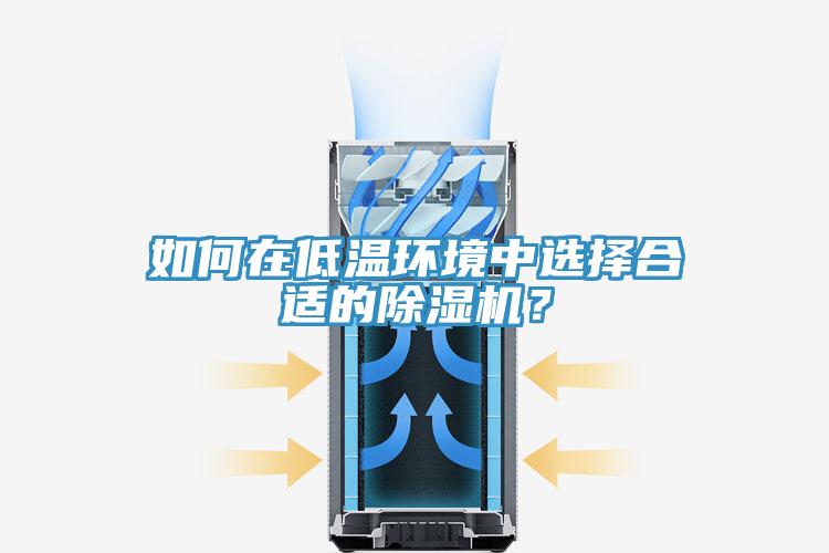 如何在低溫環(huán)境中選擇合適的除濕機(jī)？