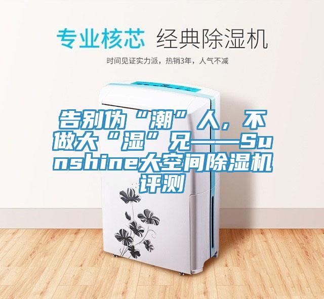 告別偽“潮”人，不做大“濕”兄——Sunshine大空間除濕機(jī)評測
