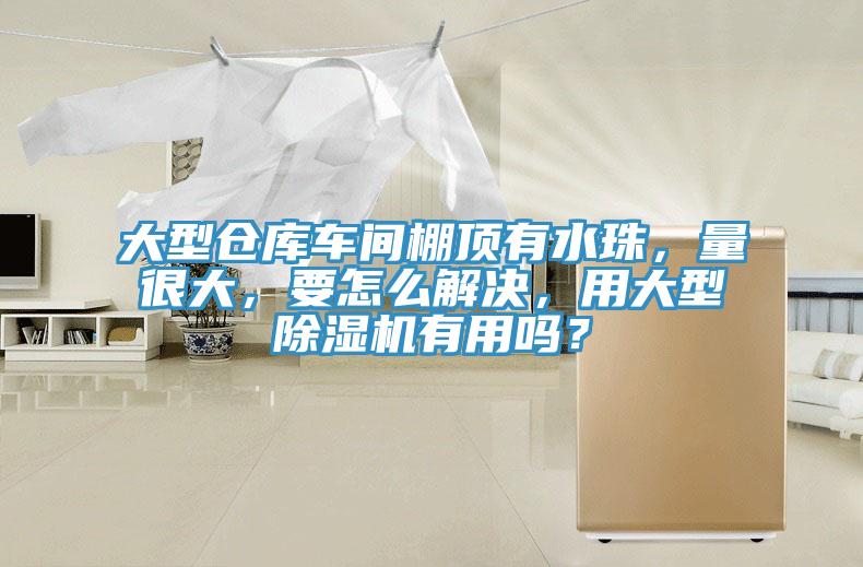 大型倉庫車間棚頂有水珠，量很大，要怎么解決，用大型除濕機有用嗎？