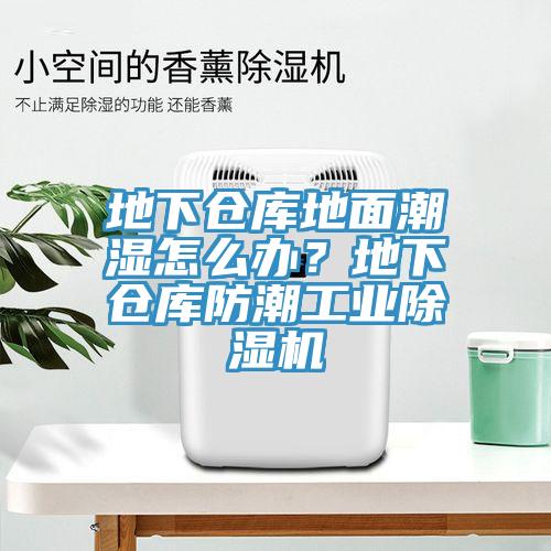 地下倉(cāng)庫(kù)地面潮濕怎么辦？地下倉(cāng)庫(kù)防潮工業(yè)除濕機(jī)