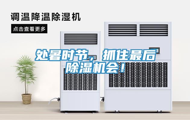 處暑時節(jié)，抓住最后除濕機(jī)會！