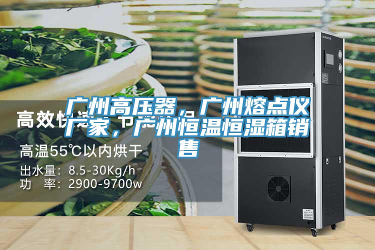 廣州高壓器，廣州熔點儀廠家，廣州恒溫恒濕箱銷售