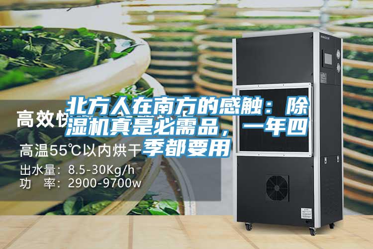 北方人在南方的感觸：除濕機真是必需品，一年四季都要用