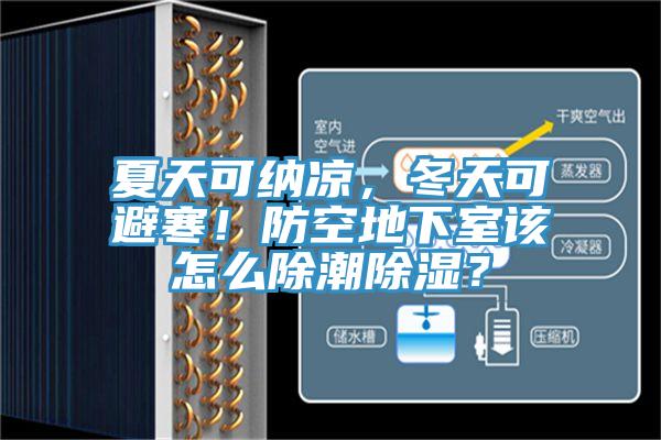 夏天可納涼，冬天可避寒！防空地下室該怎么除潮除濕？