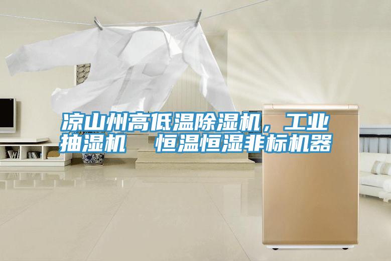 涼山州高低溫除濕機(jī)，工業(yè)抽濕機(jī)  恒溫恒濕非標(biāo)機(jī)器