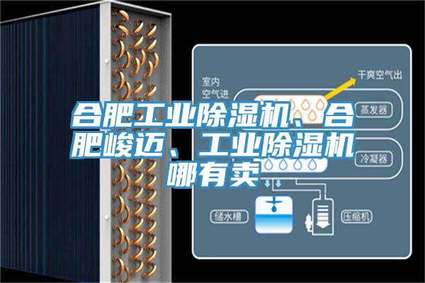合肥工業(yè)除濕機(jī)、合肥峻邁、工業(yè)除濕機(jī)哪有賣