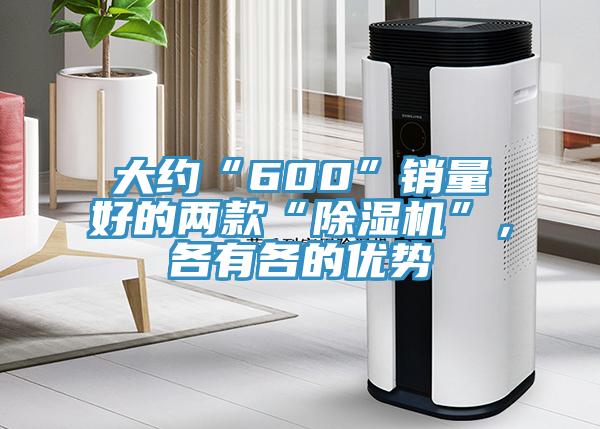 大約“600”銷量好的兩款“除濕機(jī)”，各有各的優(yōu)勢