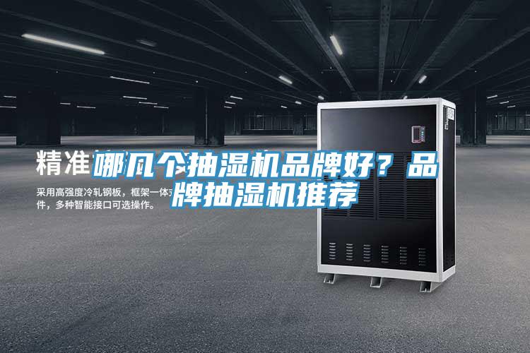 哪幾個(gè)抽濕機(jī)品牌好？品牌抽濕機(jī)推薦