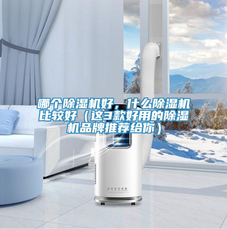 哪個(gè)除濕機(jī)好，什么除濕機(jī)比較好（這3款好用的除濕機(jī)品牌推薦給你）