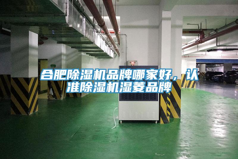合肥除濕機品牌哪家好，認(rèn)準(zhǔn)除濕機濕菱品牌