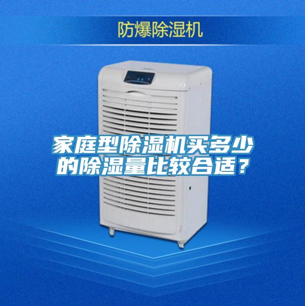 家庭型除濕機買多少的除濕量比較合適？