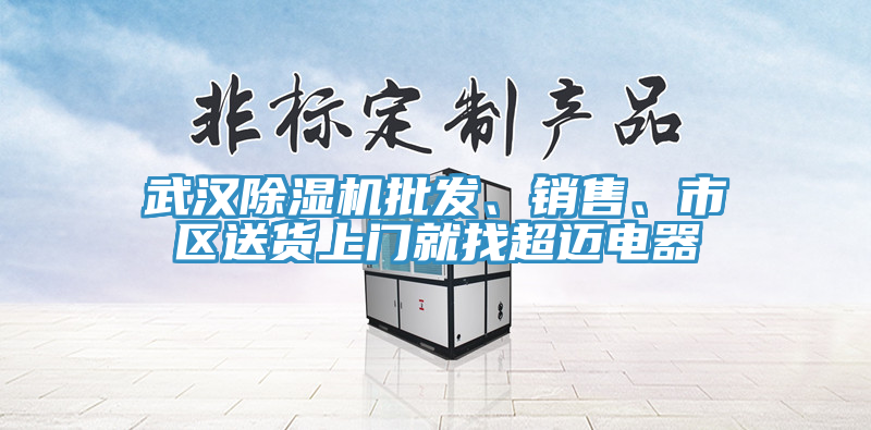 武漢除濕機(jī)批發(fā)、銷售、市區(qū)送貨上門就找超邁電器