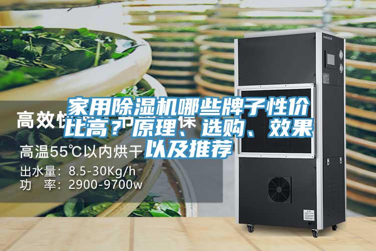 家用除濕機哪些牌子性價比高？原理、選購、效果以及推薦