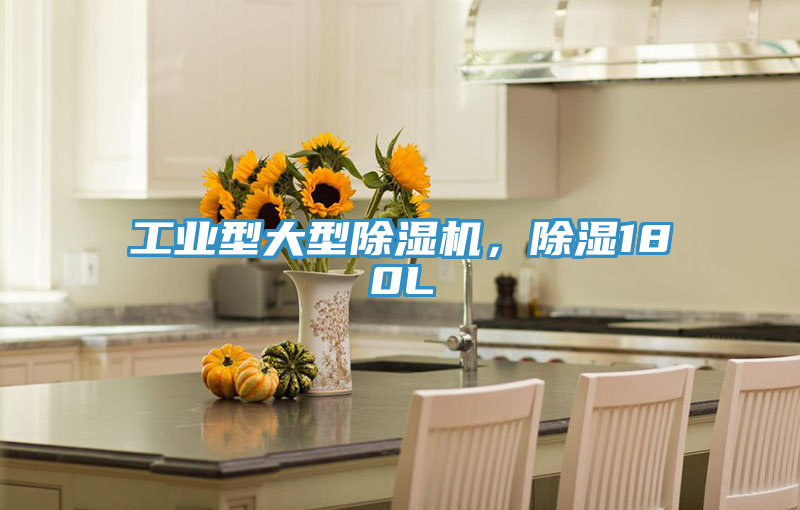 工業(yè)型大型除濕機，除濕180L