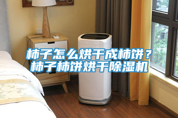 柿子怎么烘干成柿餅？柿子柿餅烘干除濕機