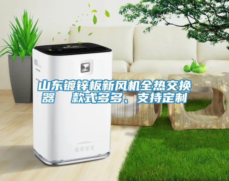 山東鍍鋅板新風(fēng)機(jī)全熱交換器  款式多多、支持定制