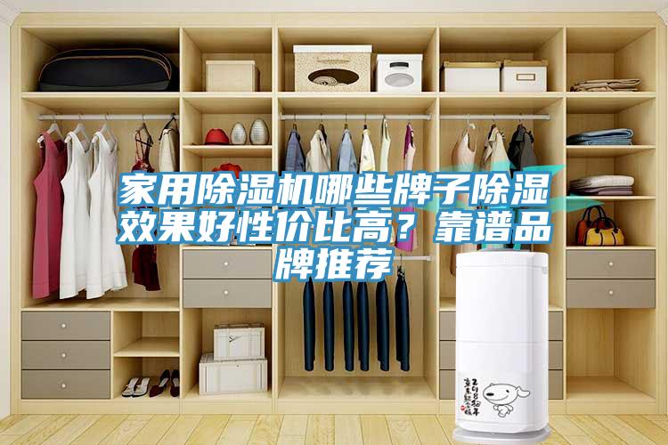 家用除濕機(jī)哪些牌子除濕效果好性價(jià)比高？靠譜品牌推薦