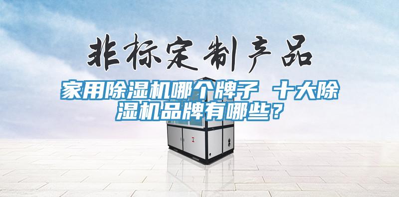 家用除濕機(jī)哪個(gè)牌子 十大除濕機(jī)品牌有哪些？