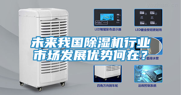 未來我國(guó)除濕機(jī)行業(yè)市場(chǎng)發(fā)展優(yōu)勢(shì)何在？