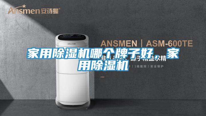家用除濕機哪個牌子好，家用除濕機