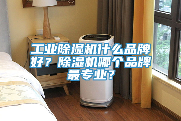 工業(yè)除濕機(jī)什么品牌好？除濕機(jī)哪個(gè)品牌最專業(yè)？